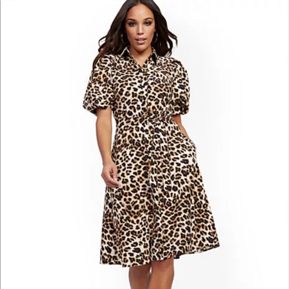 Leopard Print Puff Sleeve Dress